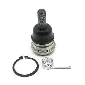 Lower Ball Joint For Nissan Datsun D22 1997-2002 40160-55G90